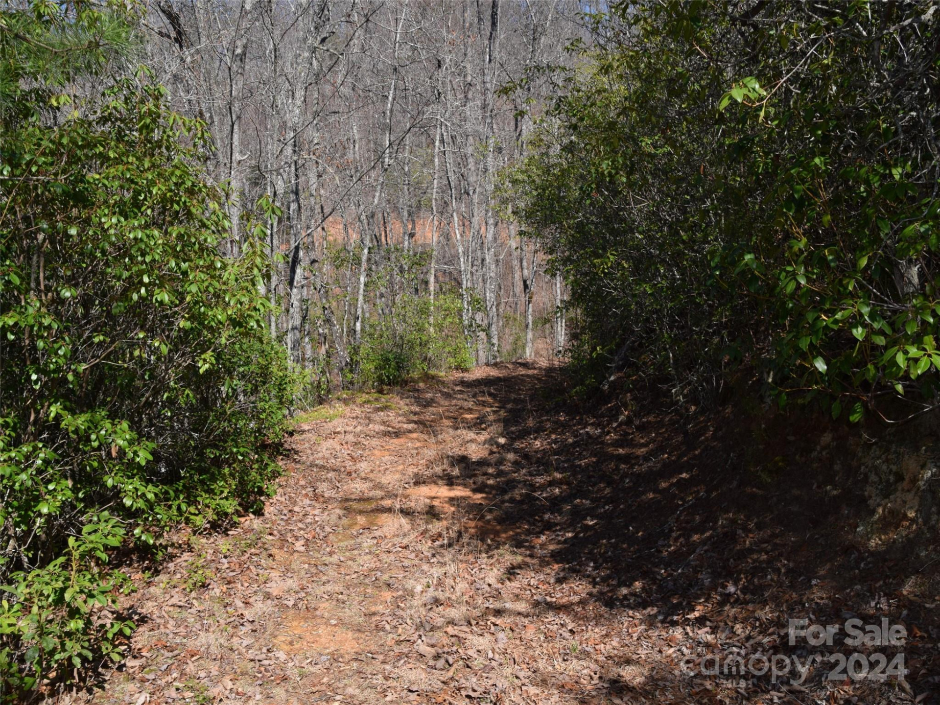 Lot 5 Horseshoe Bluff - Photo 14