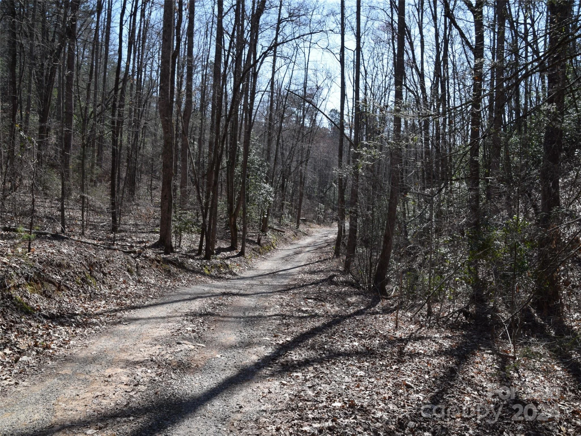 Lot 5 Horseshoe Bluff - Photo 15
