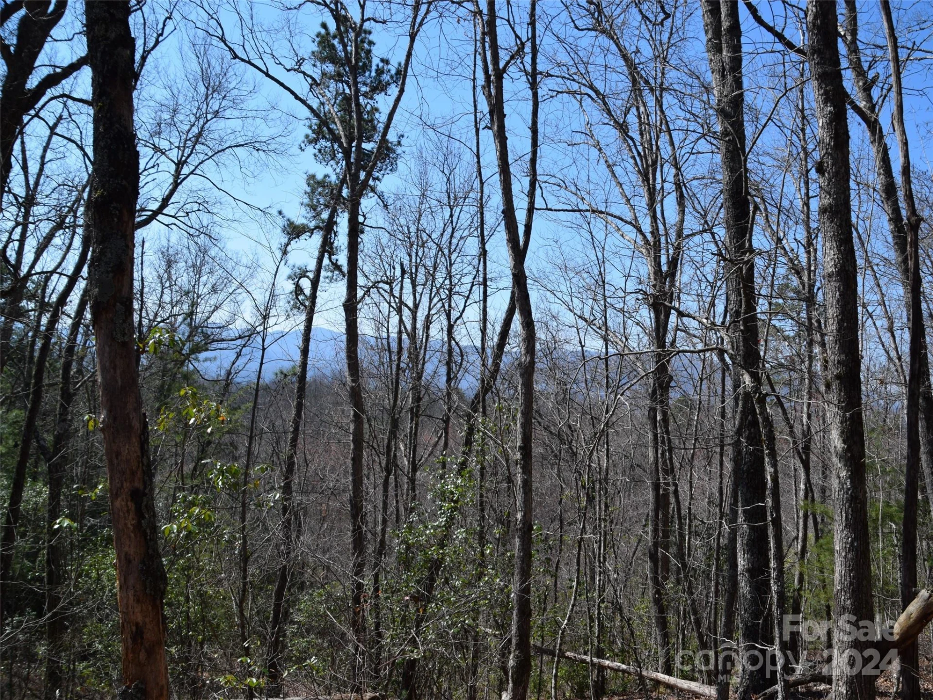 Lot 5 Horseshoe Bluff - Photo 4