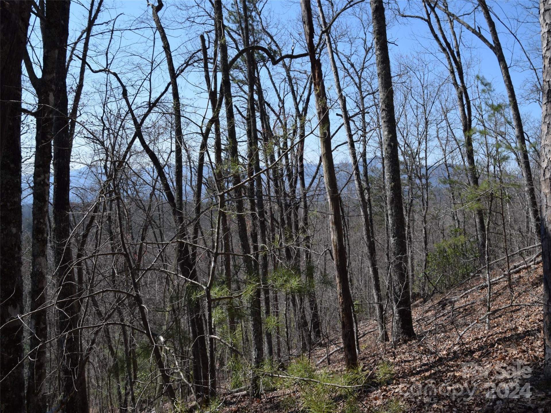 Lot 5 Horseshoe Bluff - Photo 5