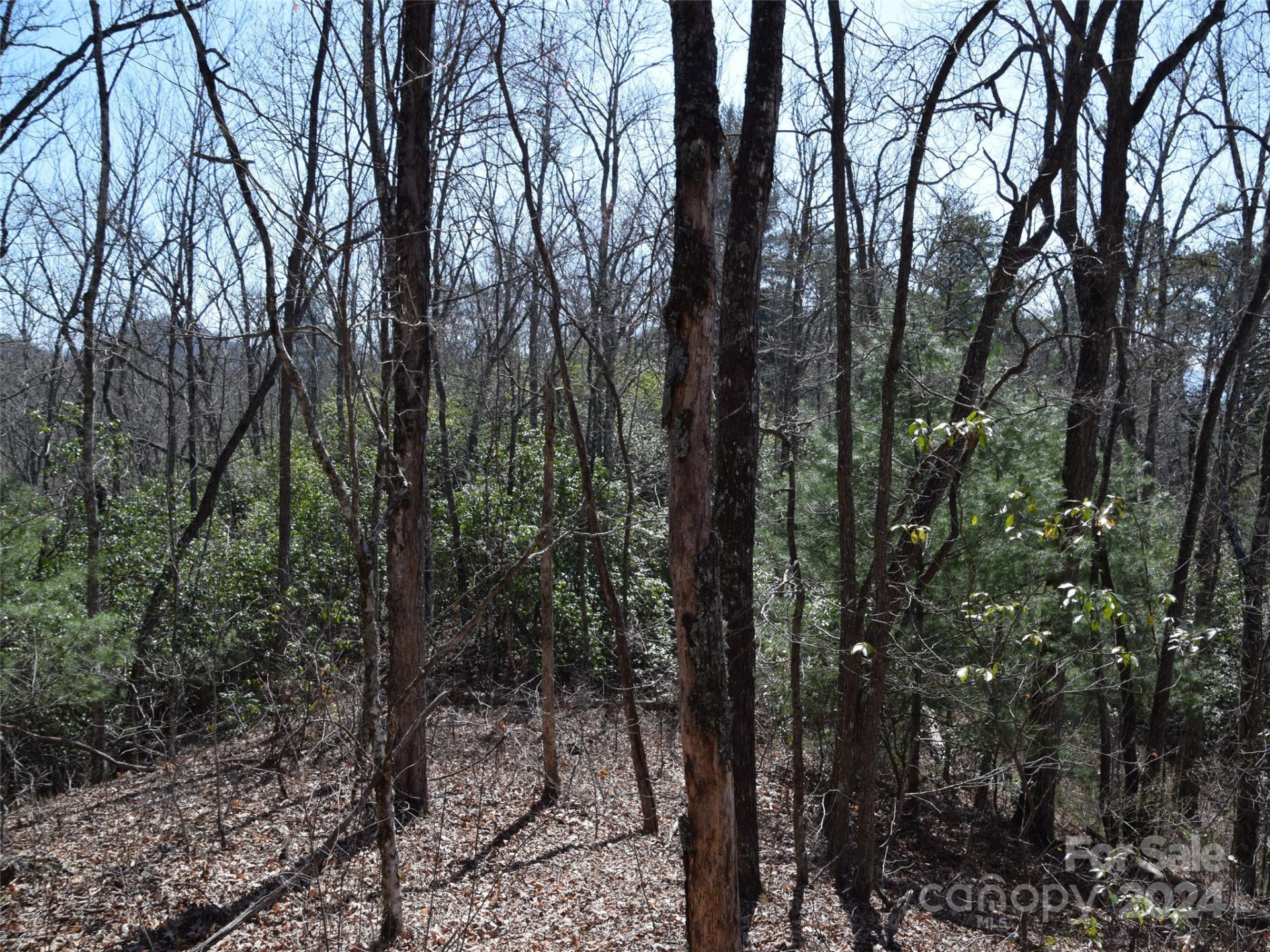 Lot 5 Horseshoe Bluff - Photo 6