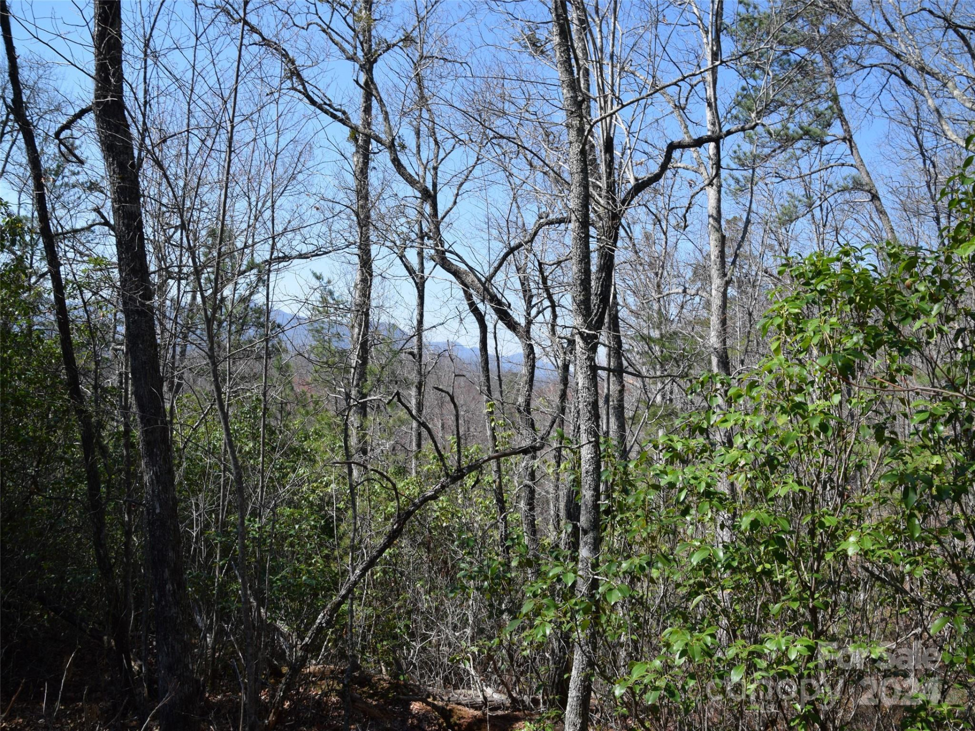 Lot 5 Horseshoe Bluff - Photo 7