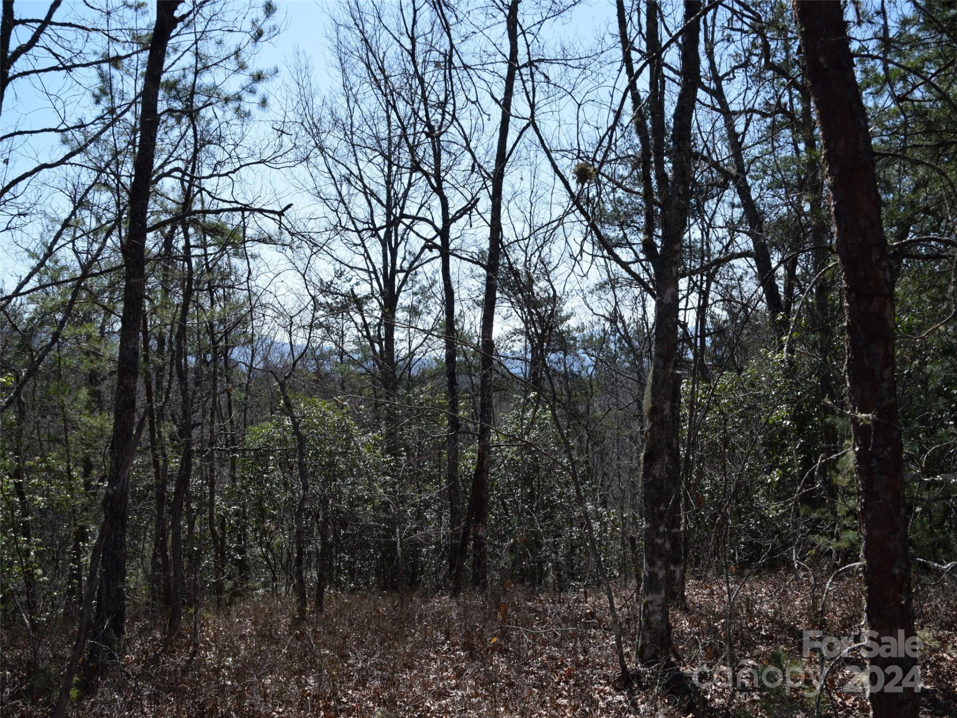 Lot 5 Horseshoe Bluff - Photo 9