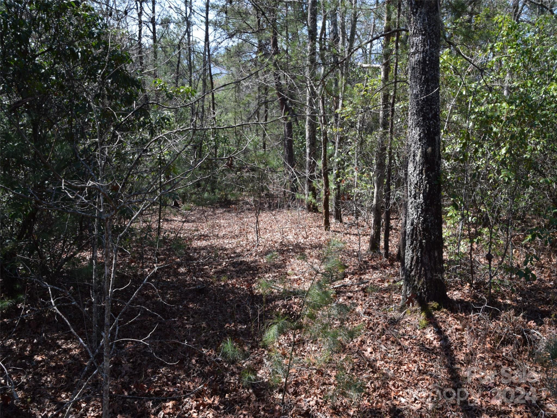 Lot 5 Horseshoe Bluff - Photo 10