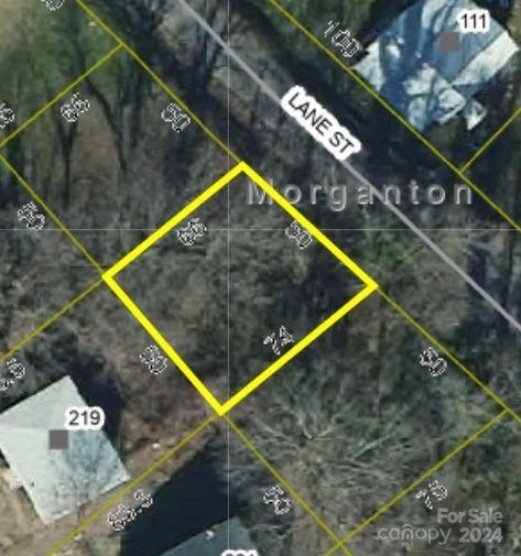 Lot 3 Lane Street #3