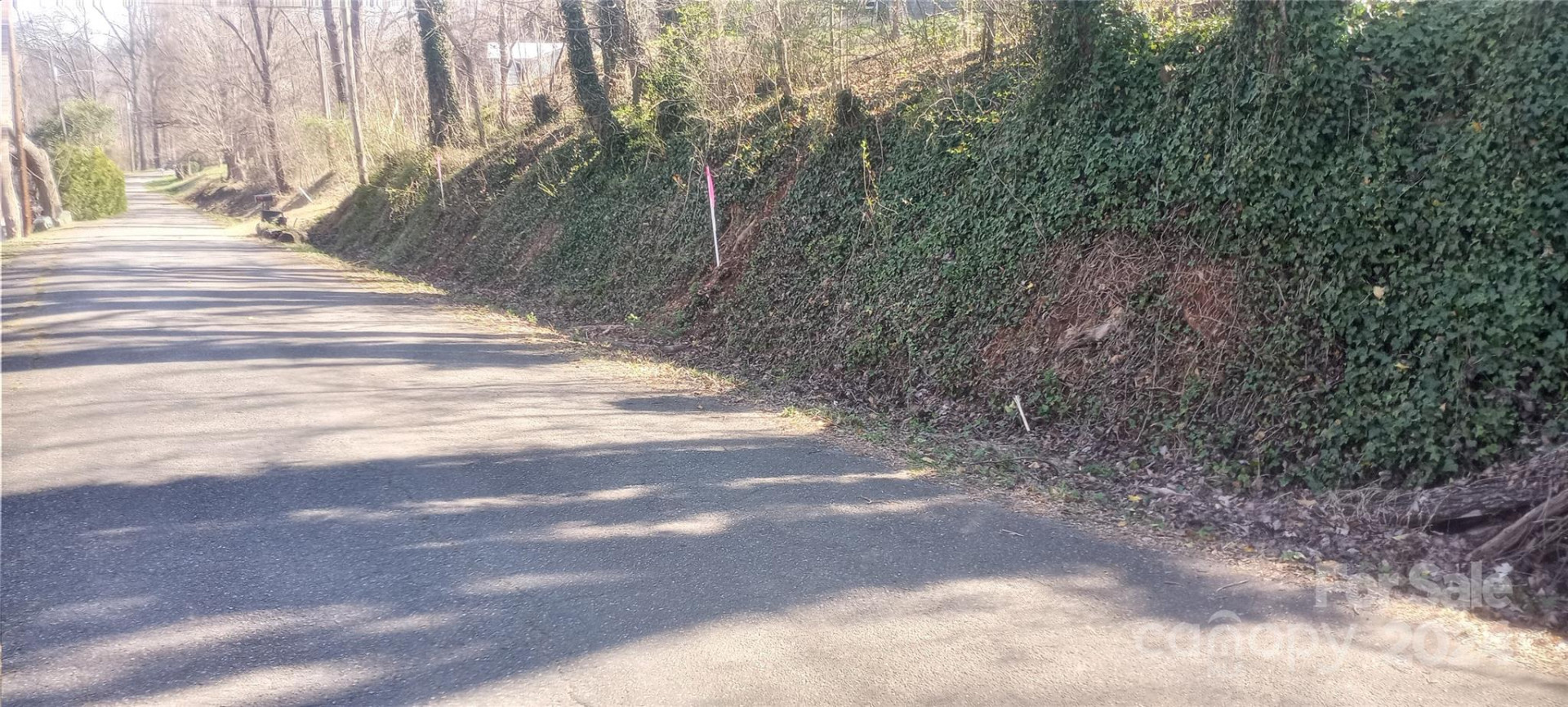 Lot 3 Lane Street #3 - Photo 5