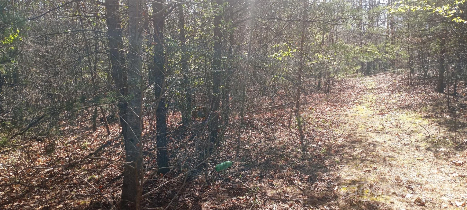 Lot 4 Lane Street #4 - Photo 3