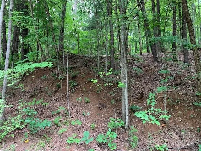 Lot 49-50 Mckenzie Way