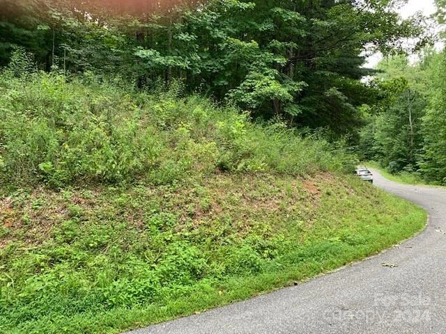 Lot 49-50 Mckenzie Way - Photo 3