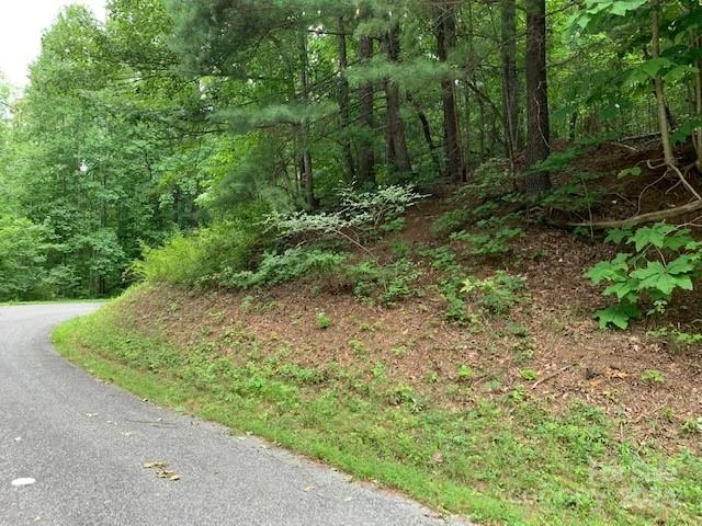 Lot 49-50 Mckenzie Way - Photo 4