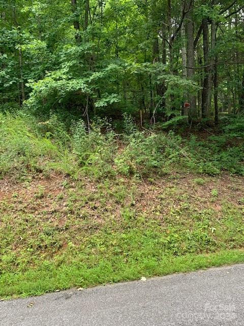 Lot 49-50 Mckenzie Way - Photo 6