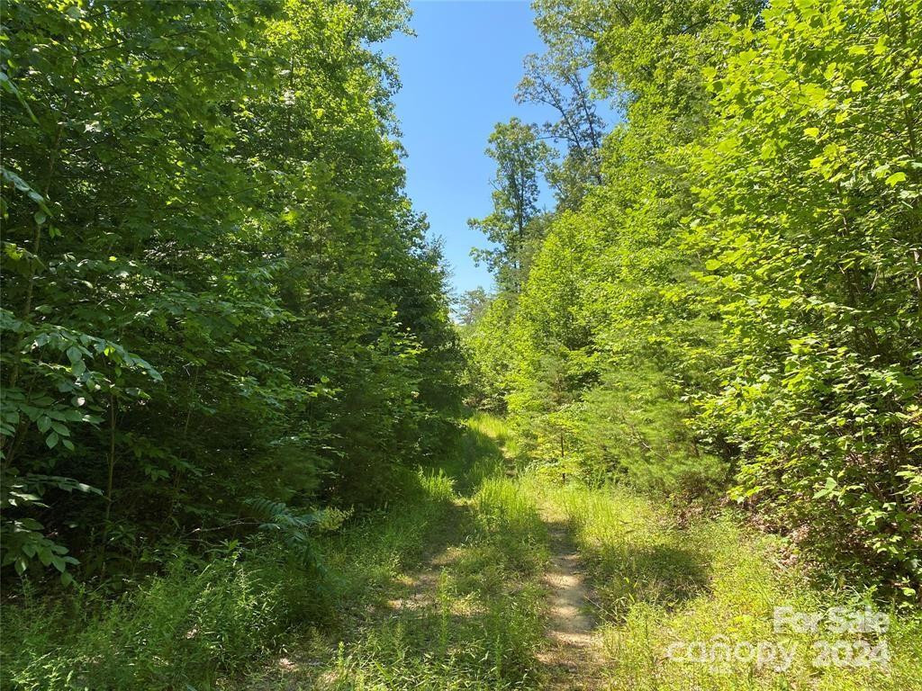 15159 Hwy 226 South - Photo 2