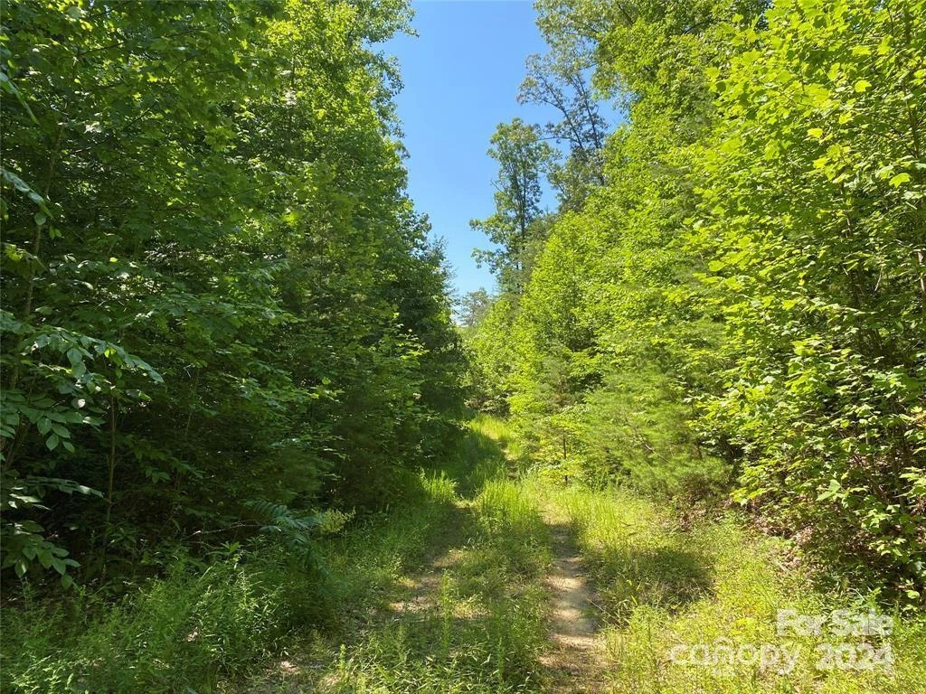 15159 Hwy 226 South - Photo 2