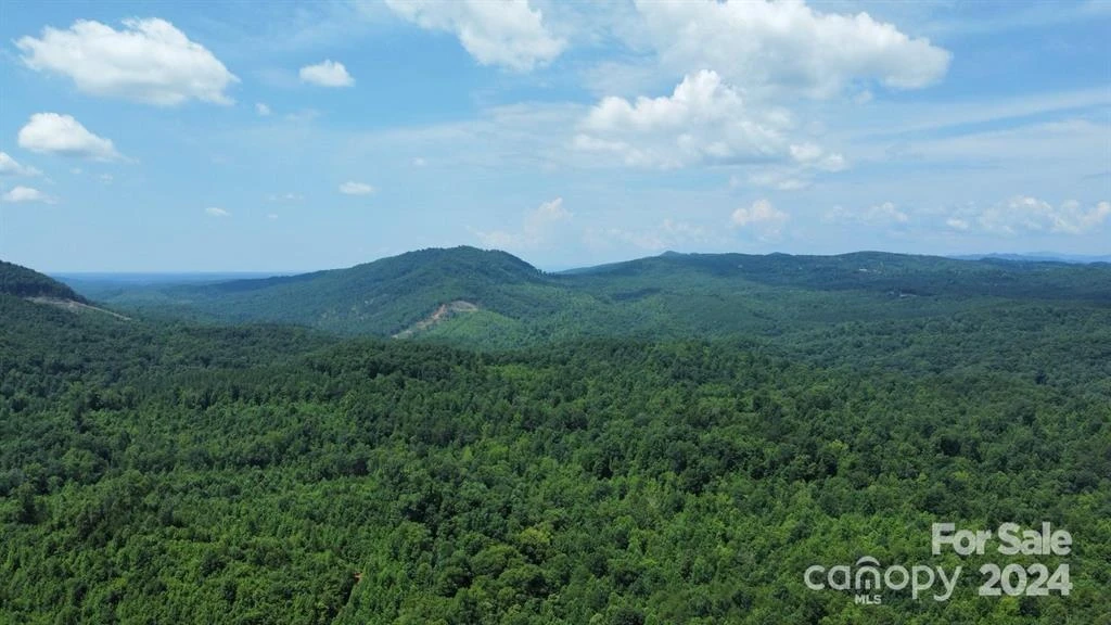 15159 Hwy 226 South - Photo 11