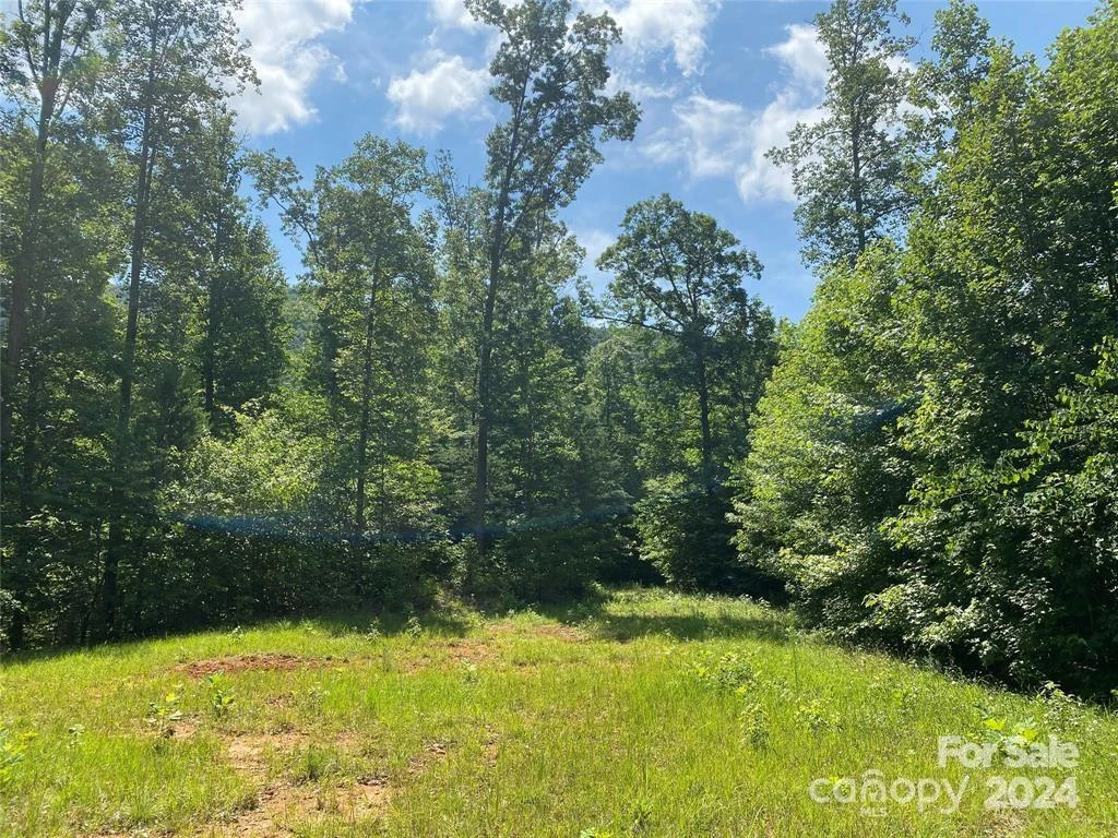 15159 Hwy 226 South - Photo 12
