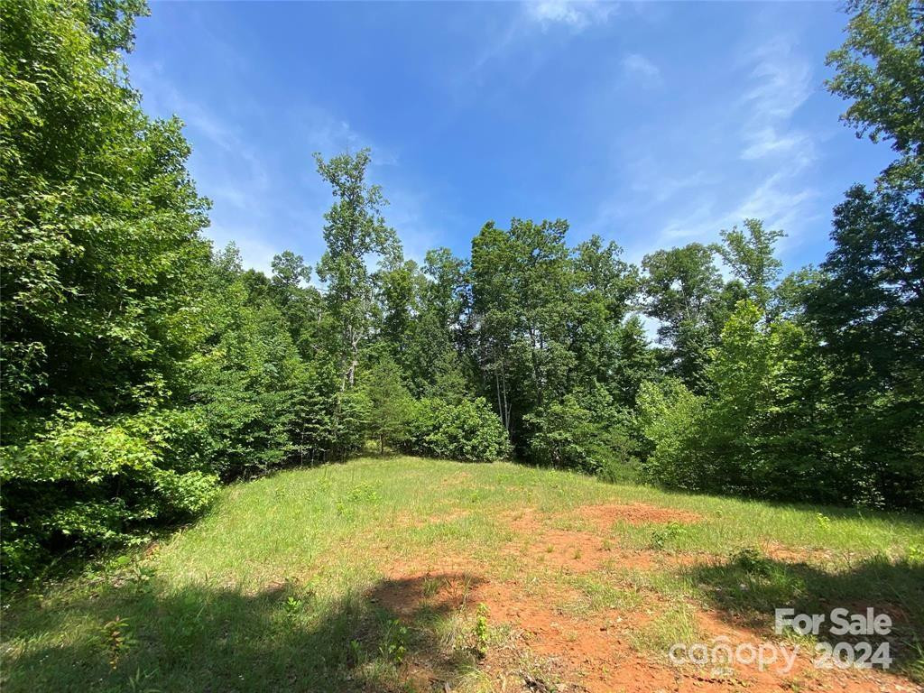 15159 Hwy 226 South - Photo 13