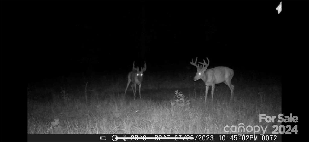 15159 Hwy 226 South - Photo 14