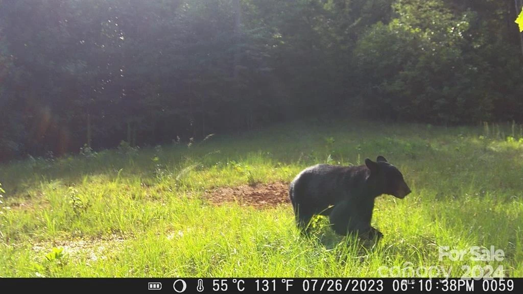 15159 Hwy 226 South - Photo 15