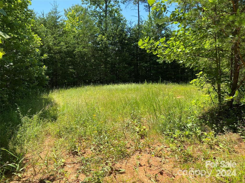 15159 Hwy 226 South - Photo 3