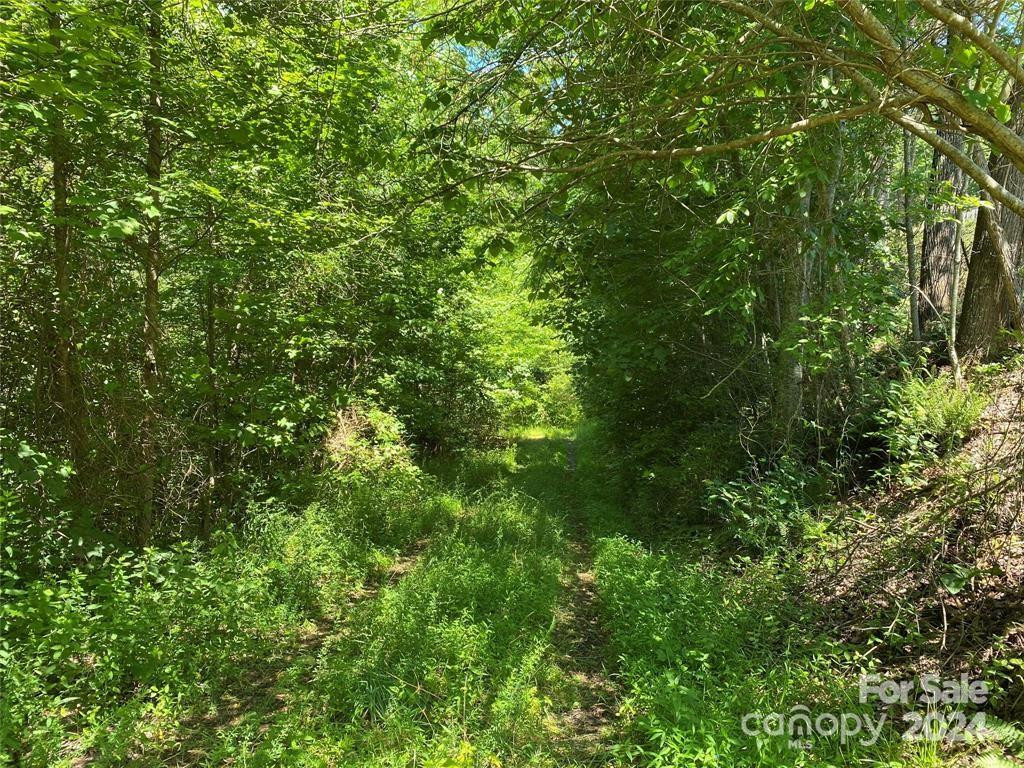 15159 Hwy 226 South - Photo 4