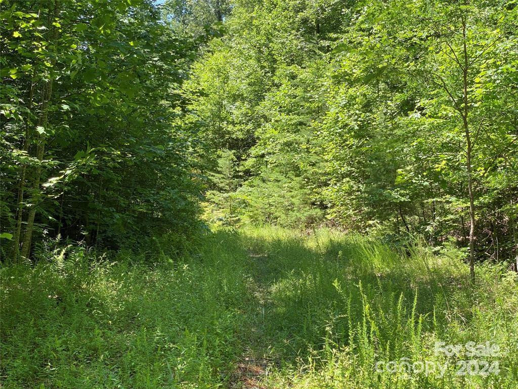 15159 Hwy 226 South - Photo 6