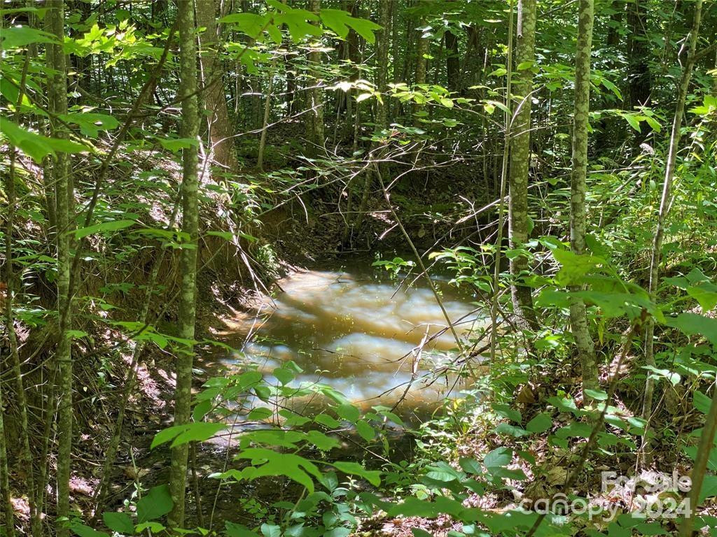 15159 Hwy 226 South - Photo 7