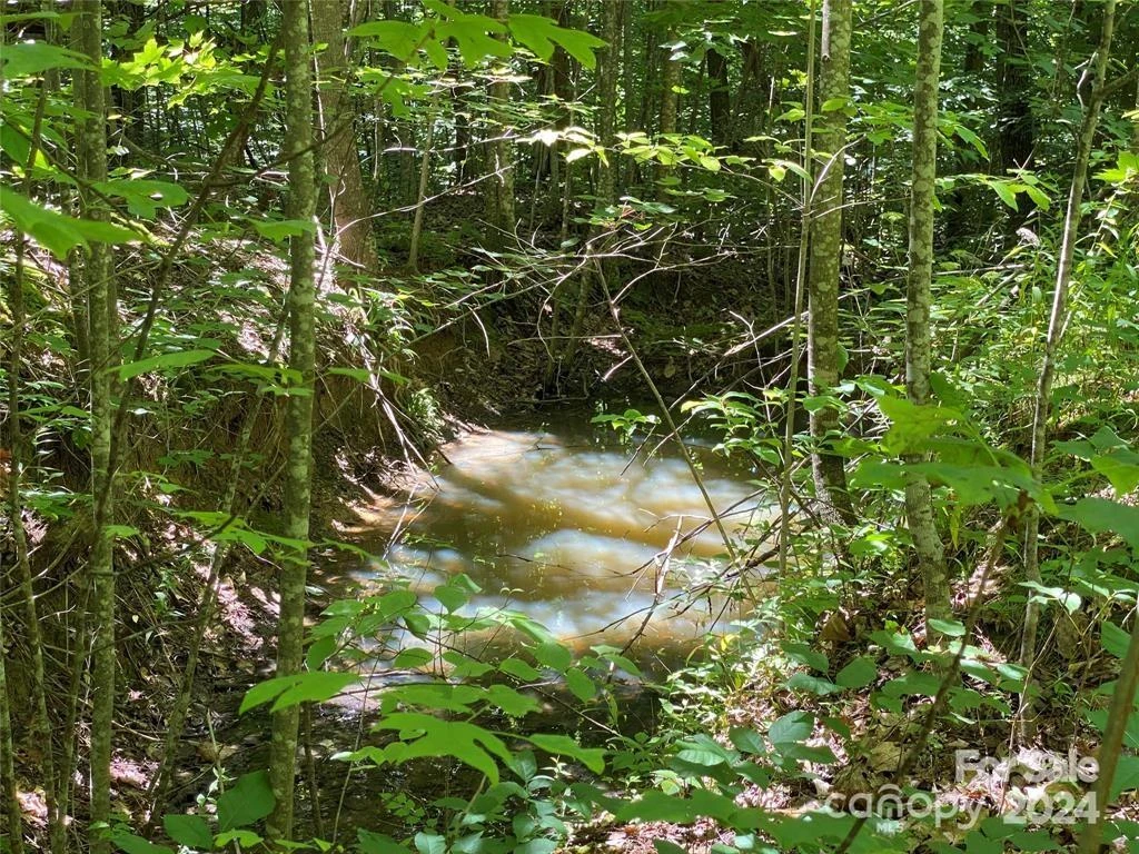 15159 Hwy 226 South - Photo 7