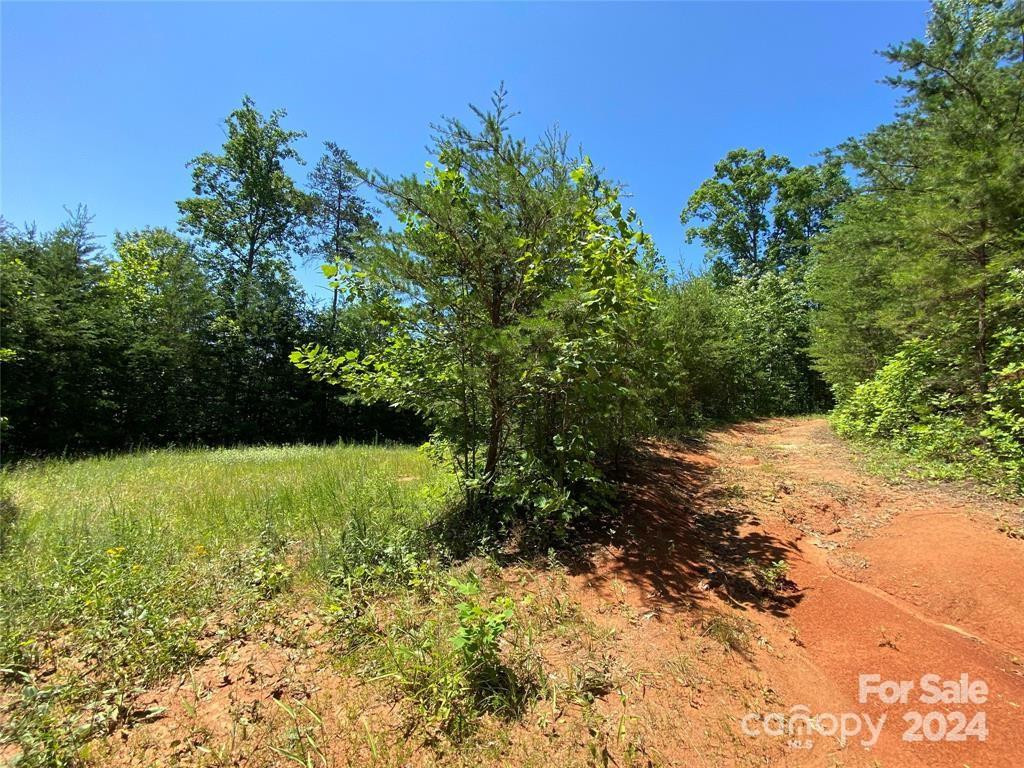 15159 Hwy 226 South - Photo 8