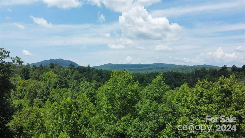 15159 Hwy 226 South - Photo 9
