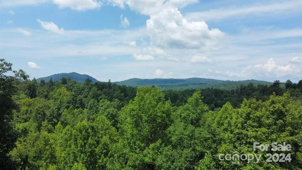 15159 Hwy 226 South - Photo 9
