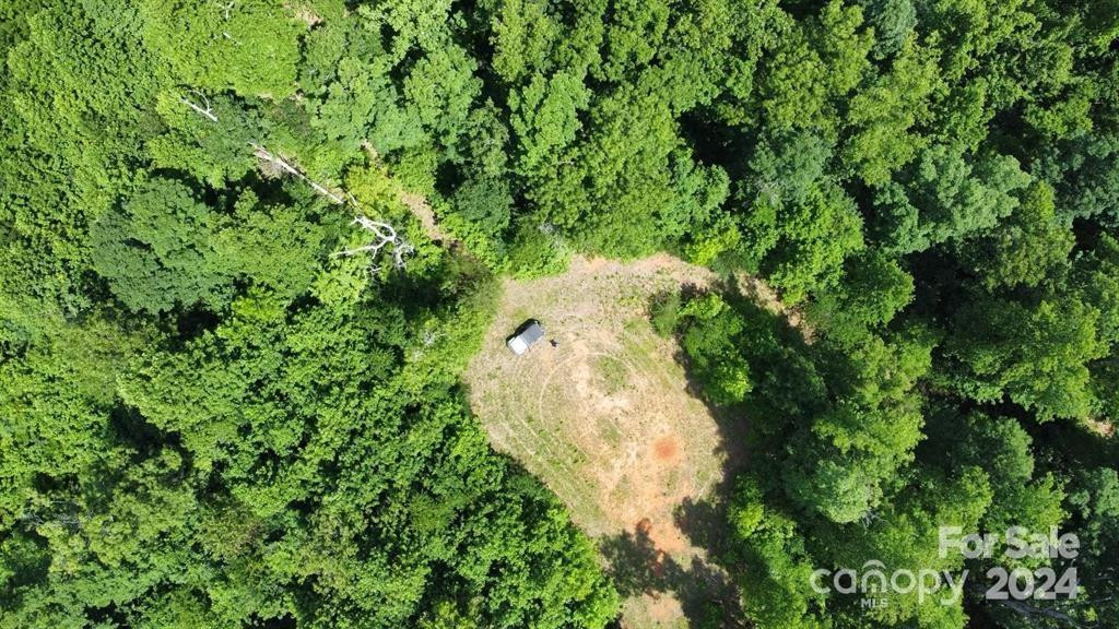 15159 Hwy 226 South - Photo 10