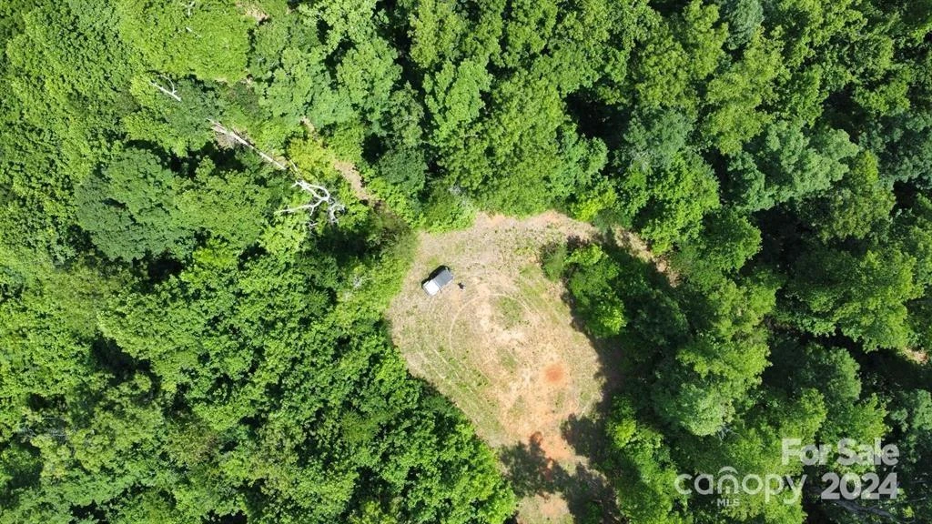 15159 Hwy 226 South - Photo 10