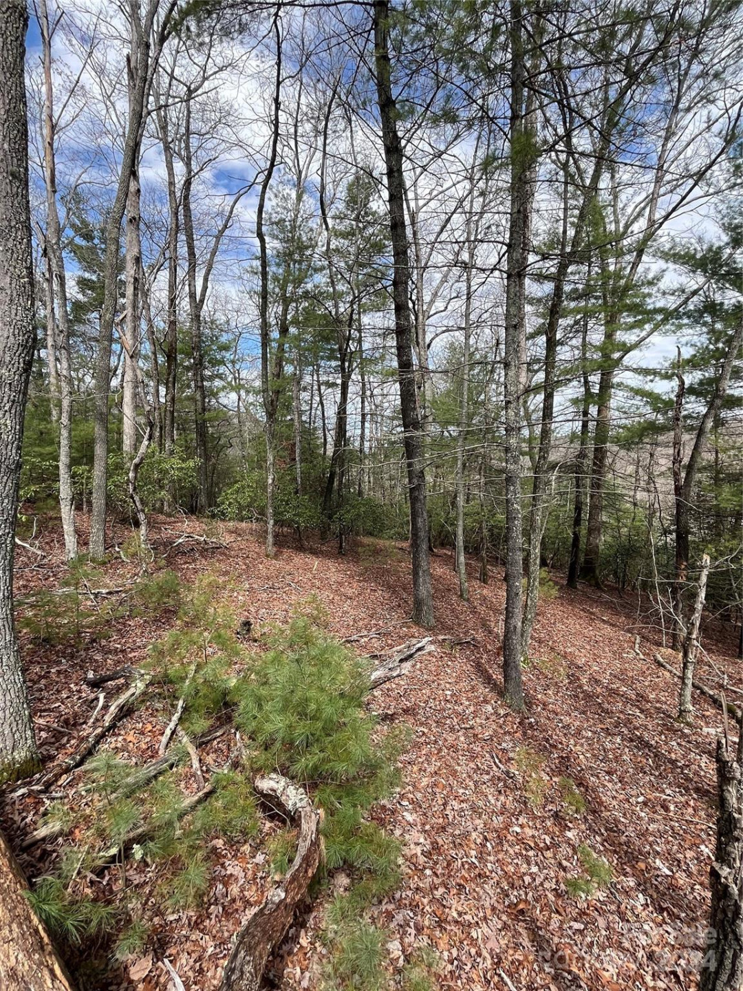 9 French Broad Overlook #Lot 3
