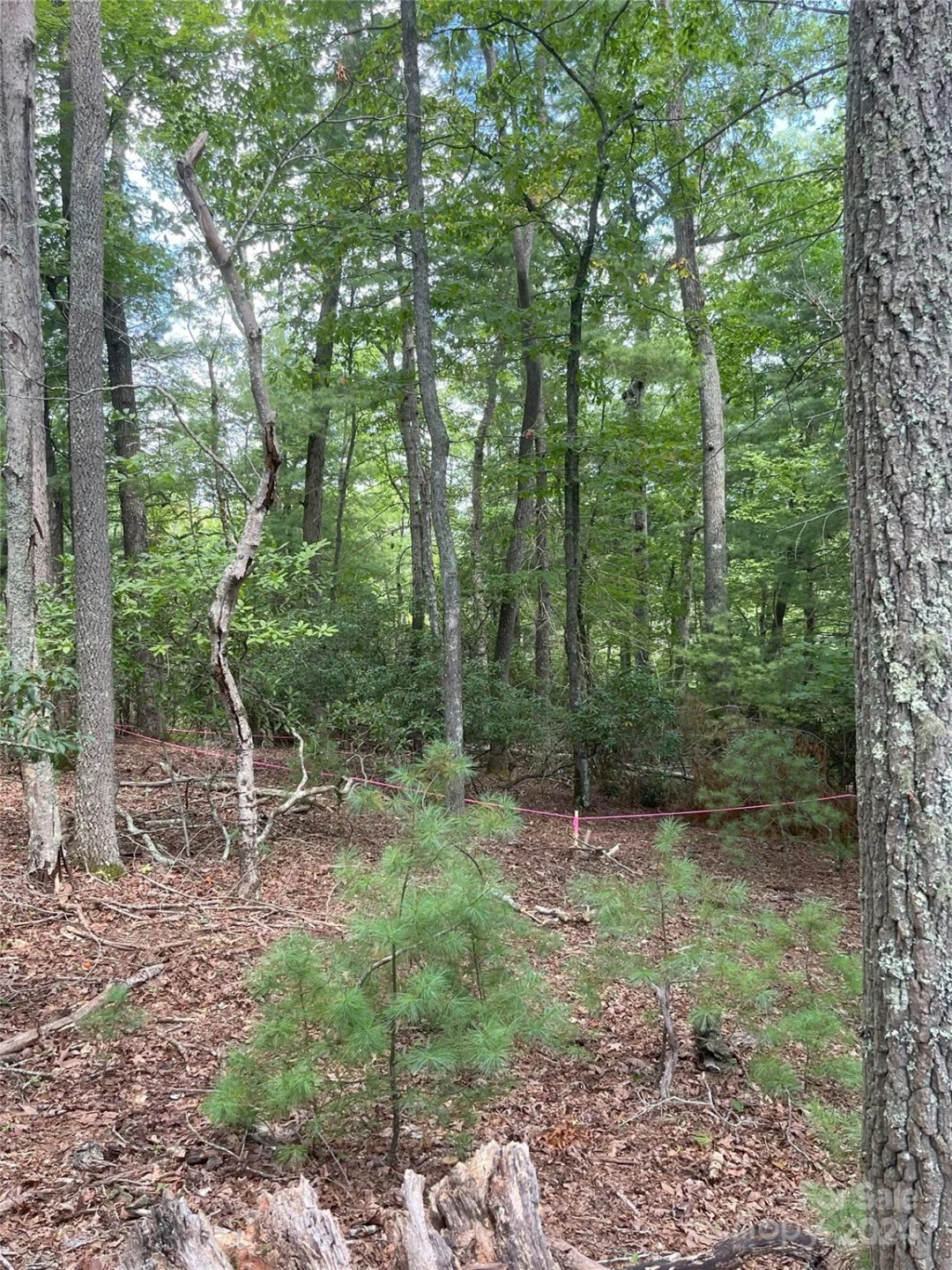 9 French Broad Overlook #Lot 3 - Photo 2