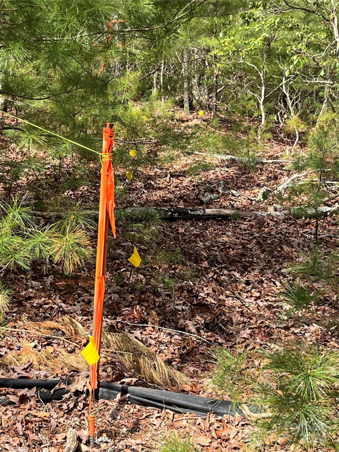 9 French Broad Overlook #Lot 3 - Photo 3