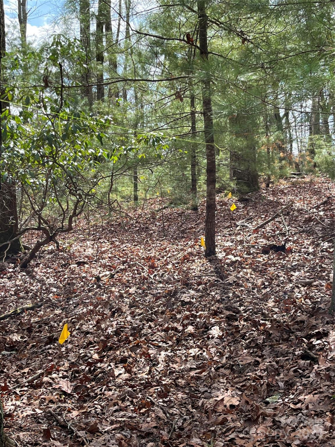 9 French Broad Overlook #Lot 3 - Photo 4