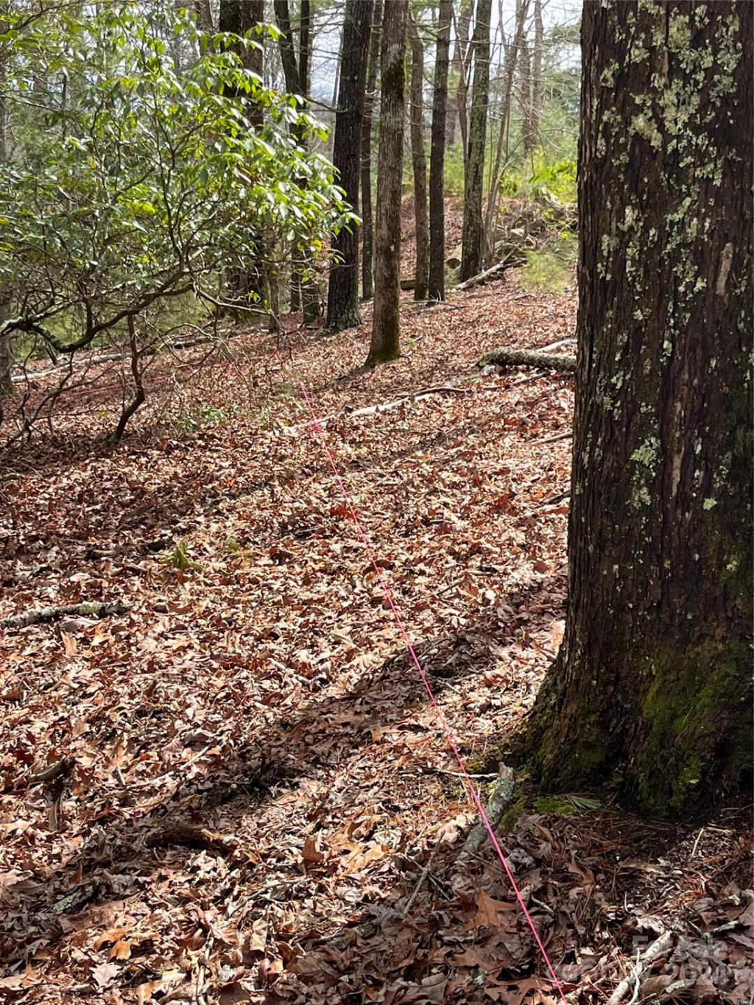 9 French Broad Overlook #Lot 3 - Photo 5