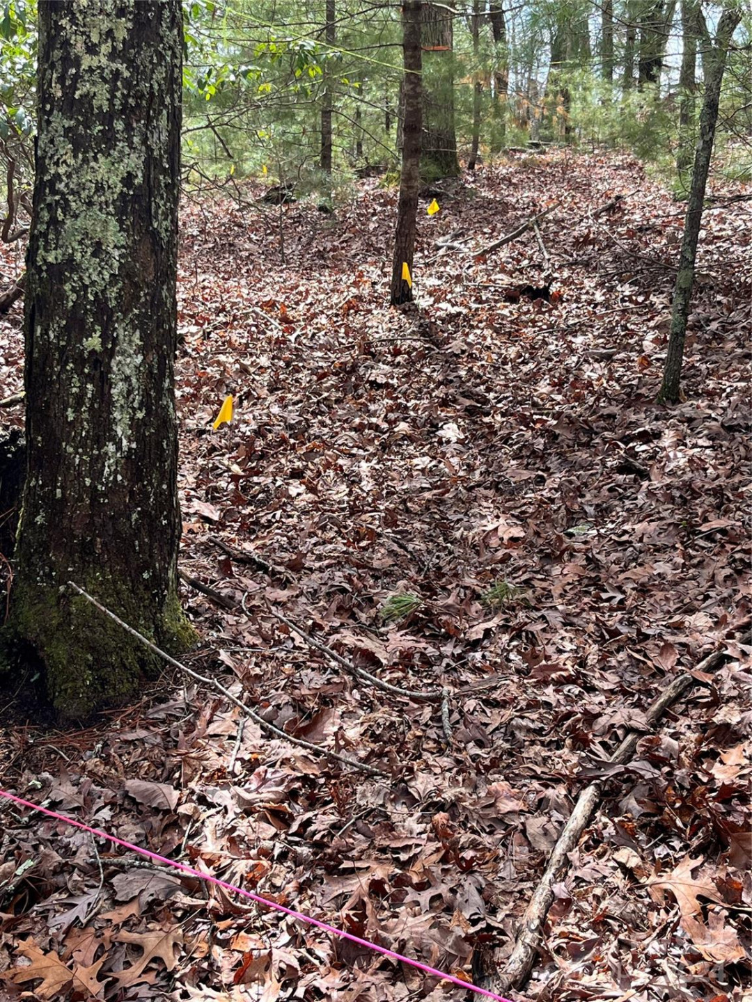 9 French Broad Overlook #Lot 3 - Photo 6