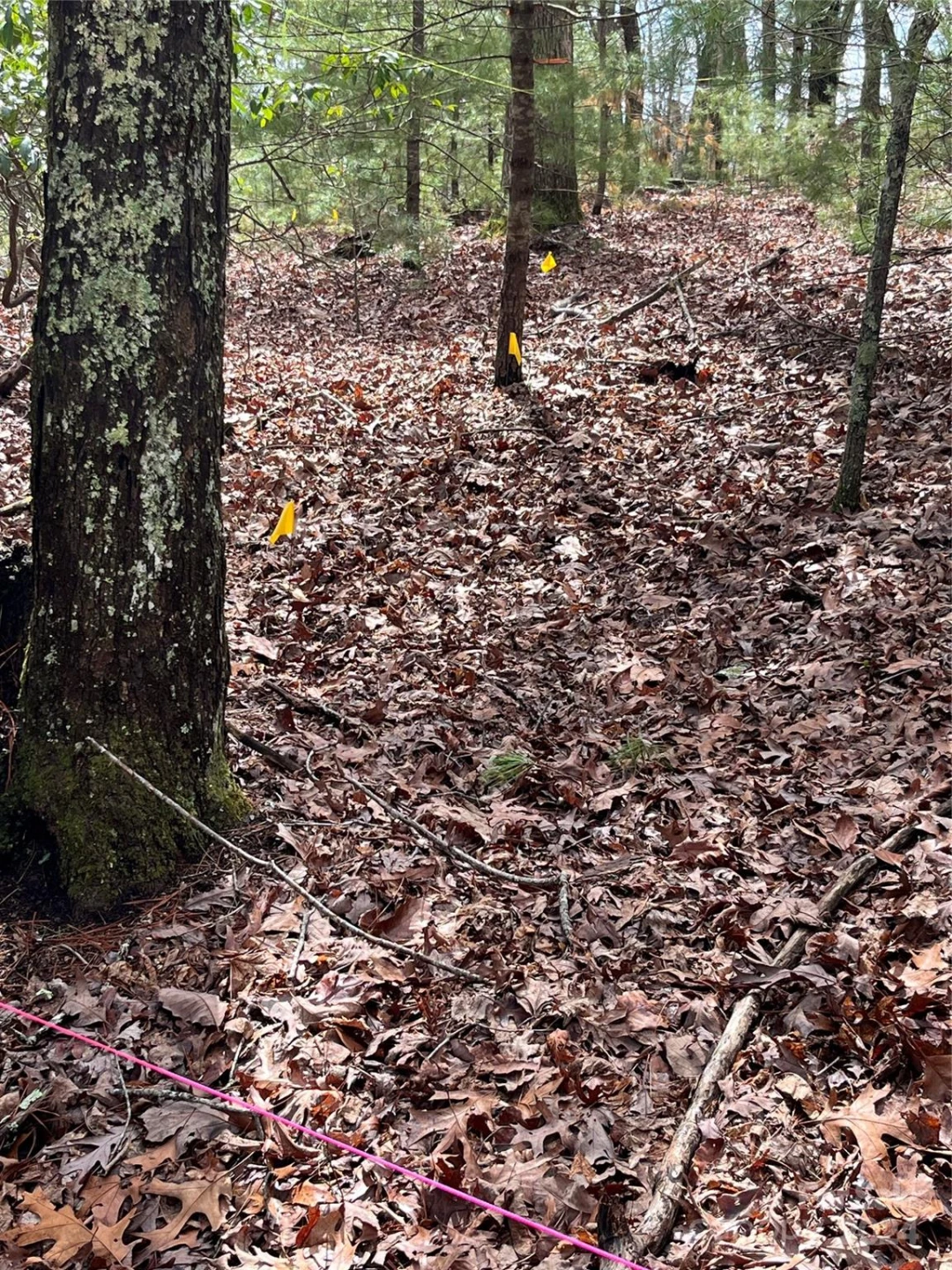 9 French Broad Overlook #Lot 3 - Photo 6
