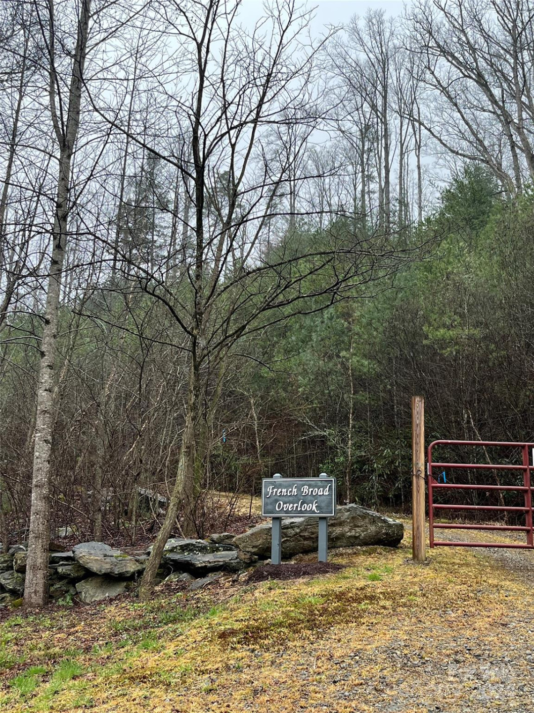 9 French Broad Overlook #Lot 3 - Photo 9