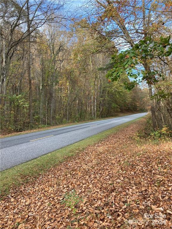 9 French Broad Overlook #Lot 3 - Photo 10