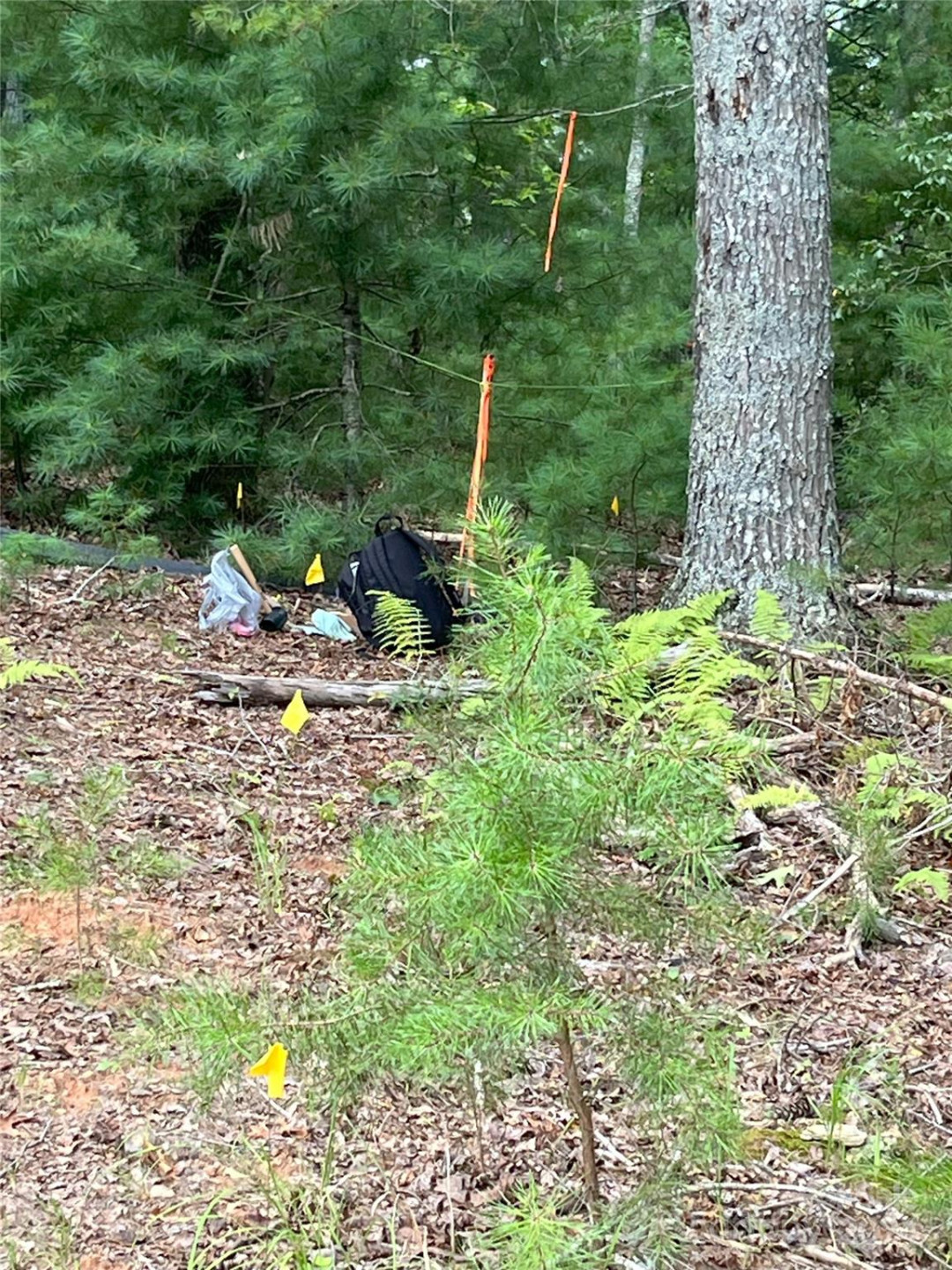 6 French Broad Overlook #Lot 2 - Photo 11