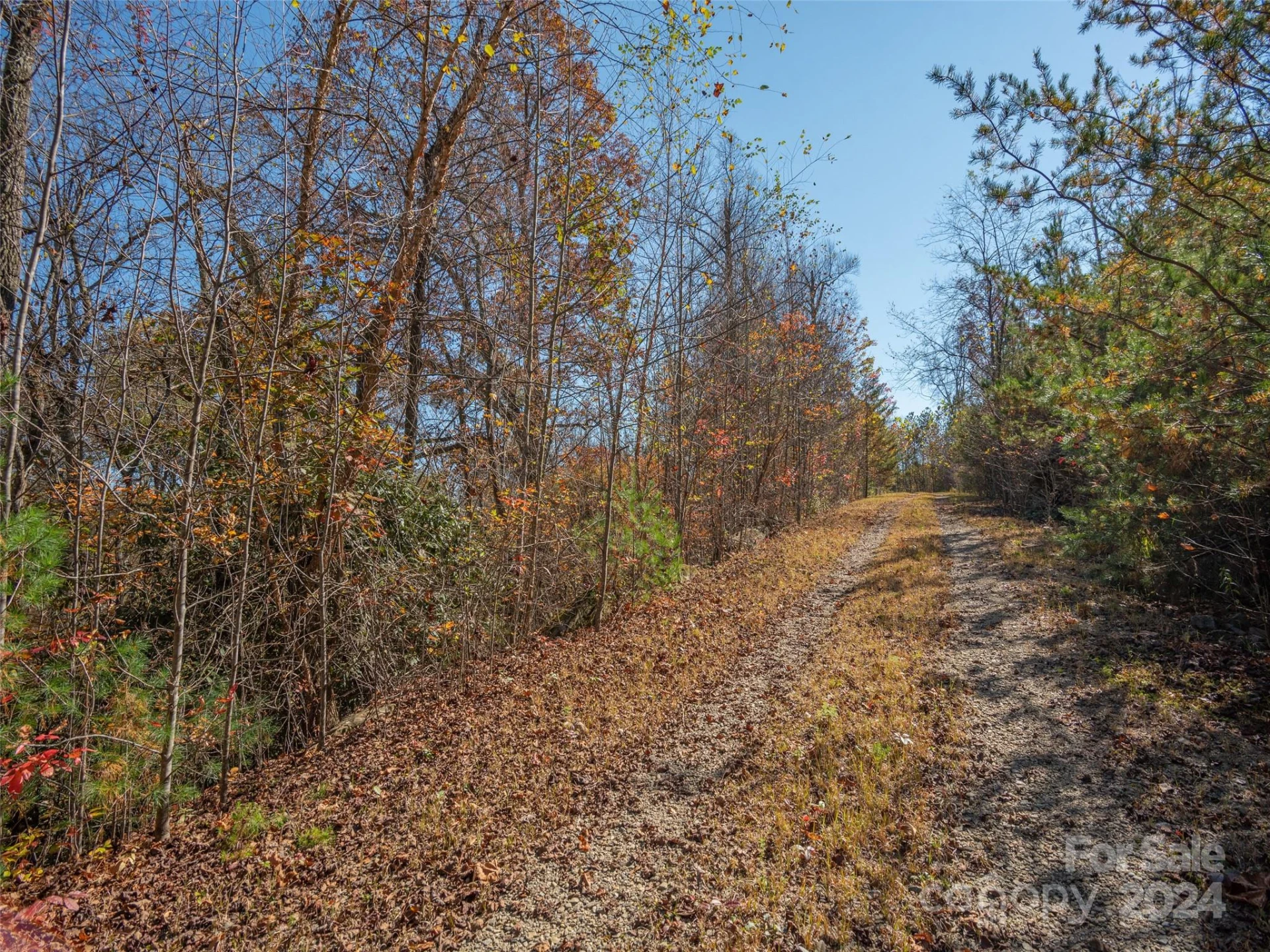 6 French Broad Overlook #Lot 2 - Photo 12