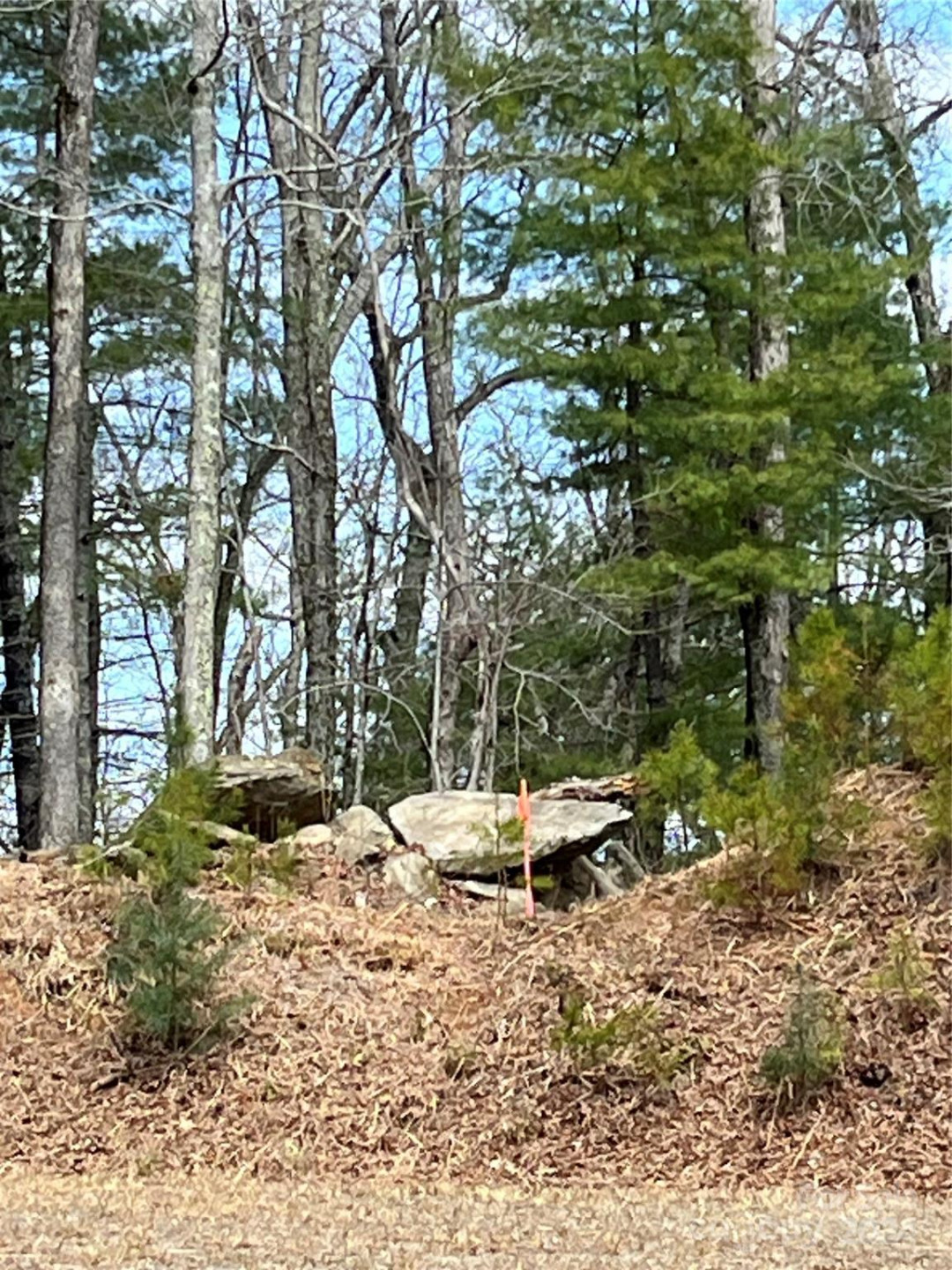 6 French Broad Overlook #Lot 2 - Photo 13