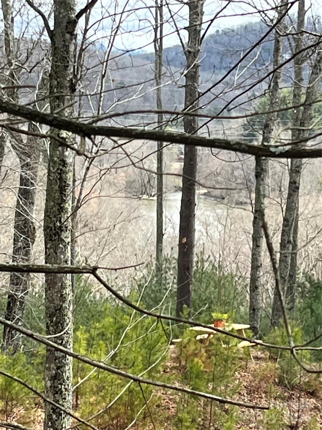 6 French Broad Overlook #Lot 2 - Photo 14