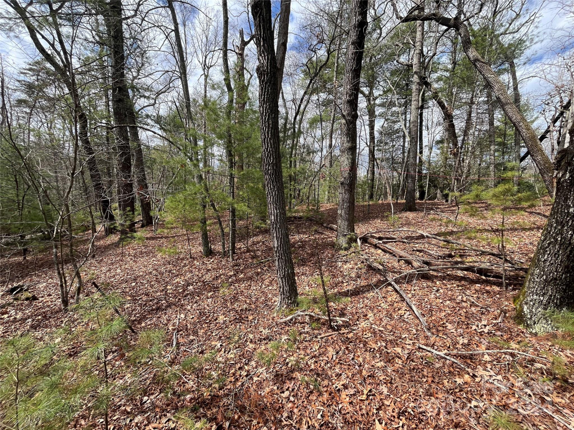 6 French Broad Overlook #Lot 2 - Photo 15