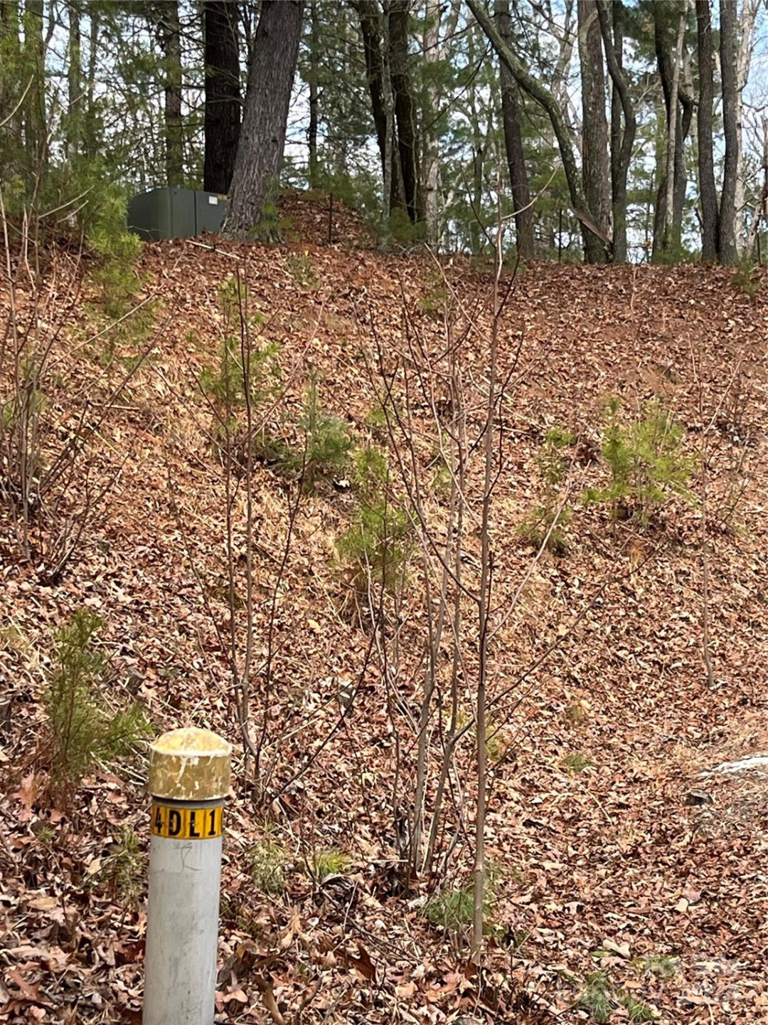 6 French Broad Overlook #Lot 2 - Photo 16