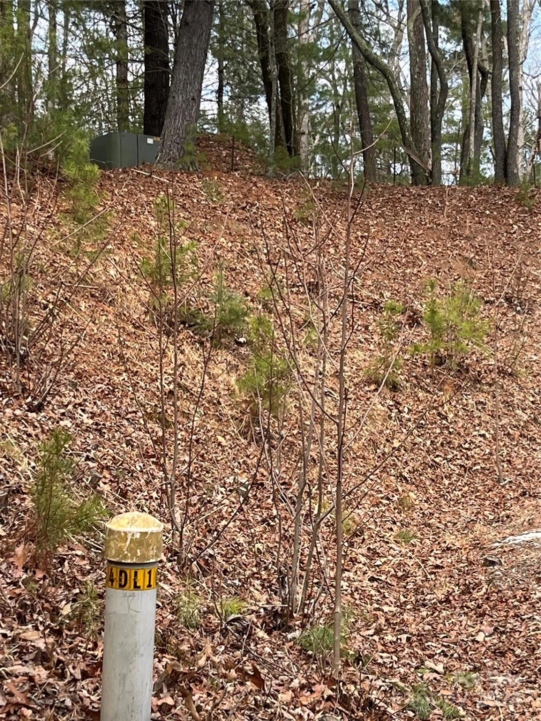 6 French Broad Overlook #Lot 2 - Photo 16