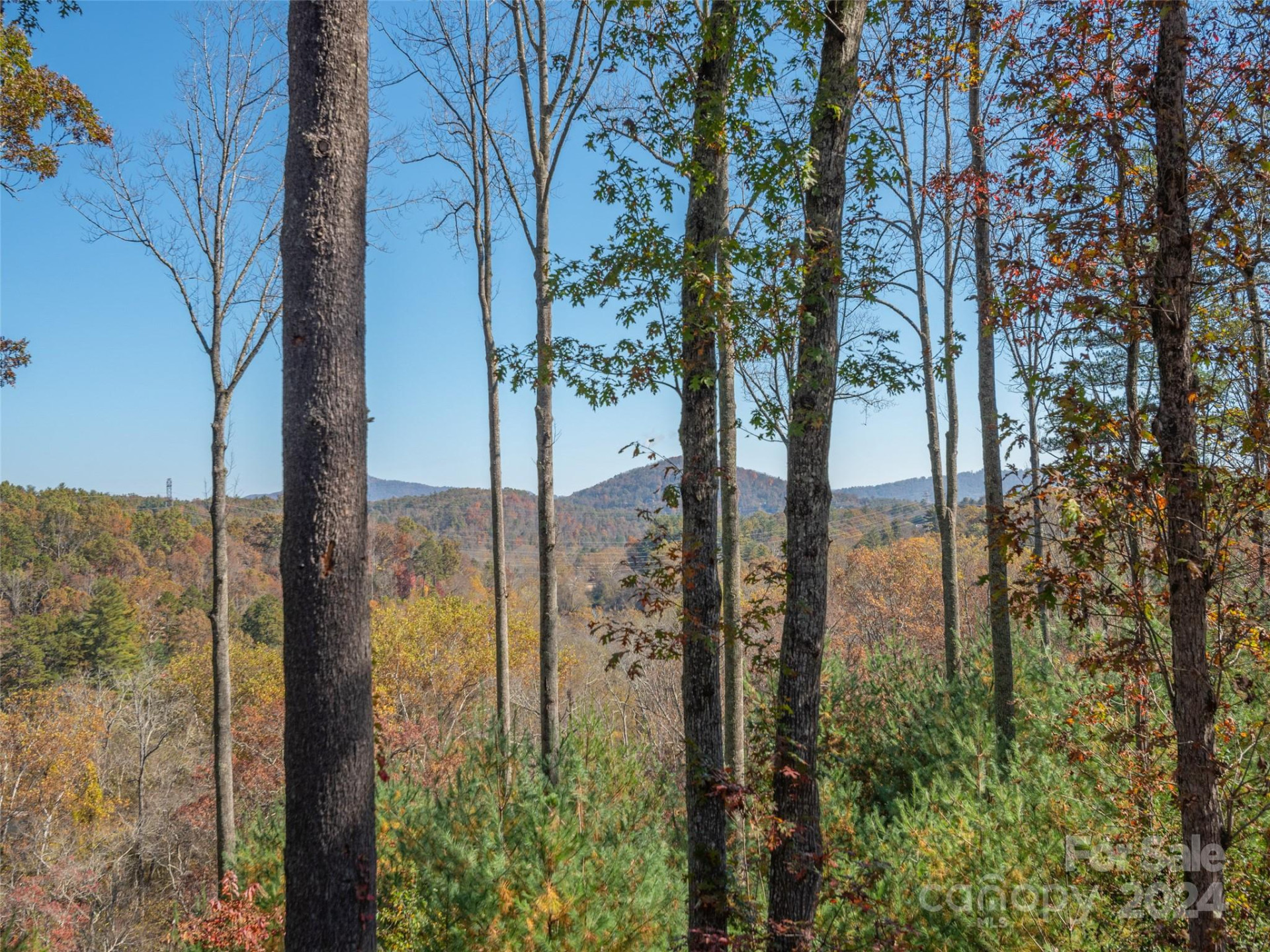 6 French Broad Overlook #Lot 2 - Photo 18