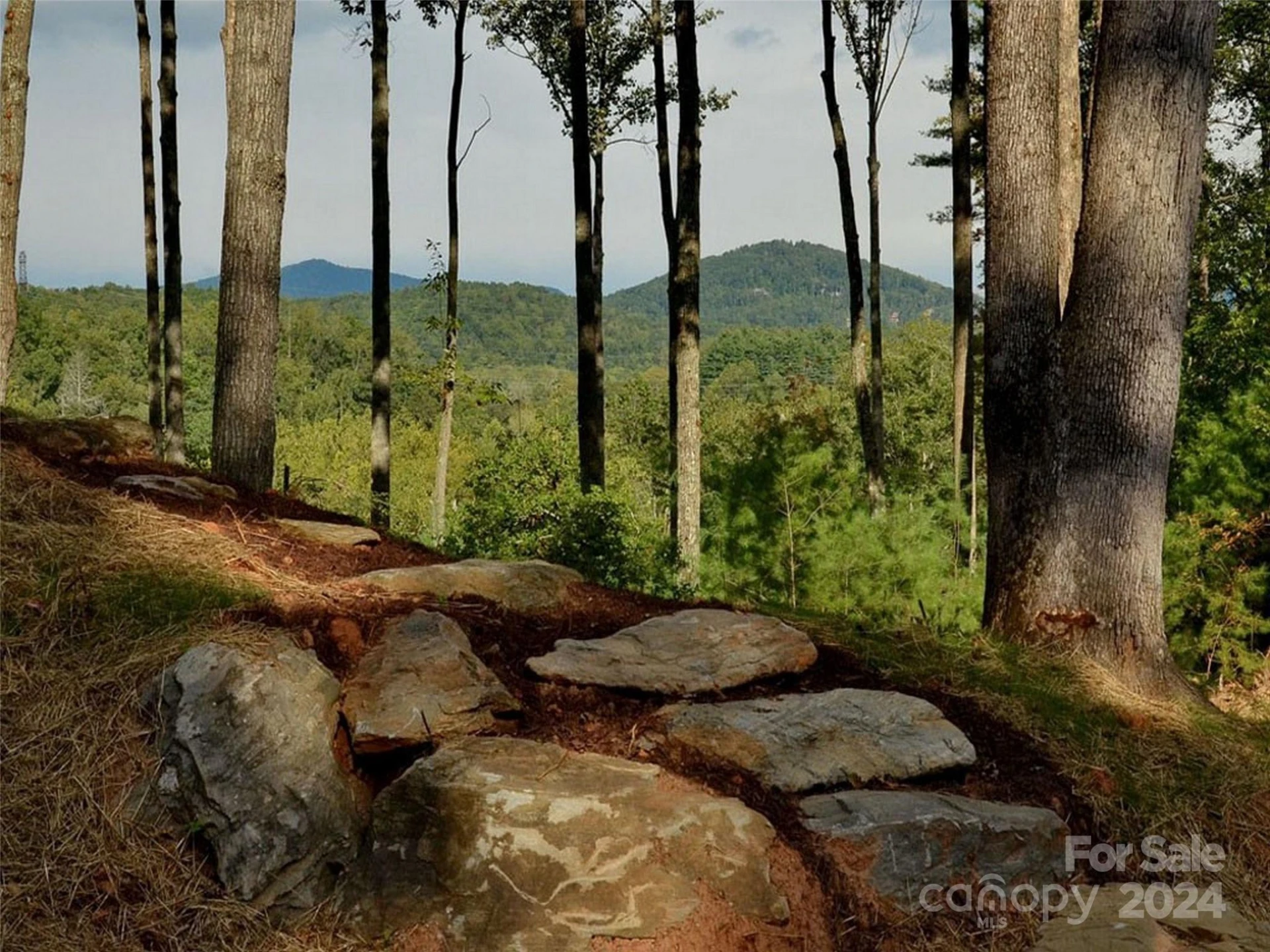 6 French Broad Overlook #Lot 2 - Photo 19